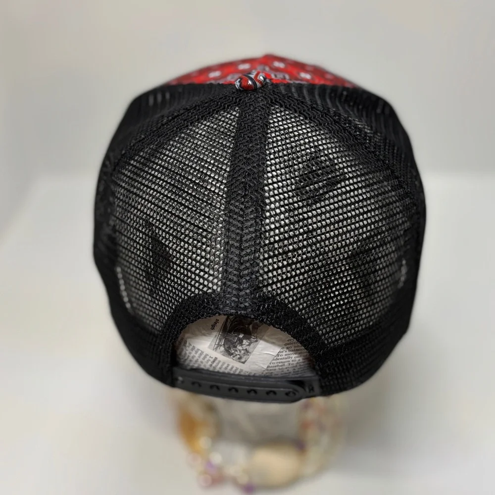 Southwestern Cactus | Aztec Pattern Snapback | Western Festival Cap | Like New - Picture 4 of 9